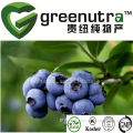 natural acai berry extract powder